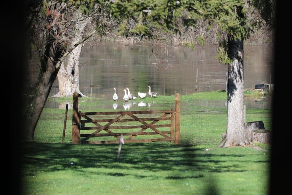 Le Ponton Des Sympetrums Aurec-Sur-Loire Zewnętrze zdjęcie