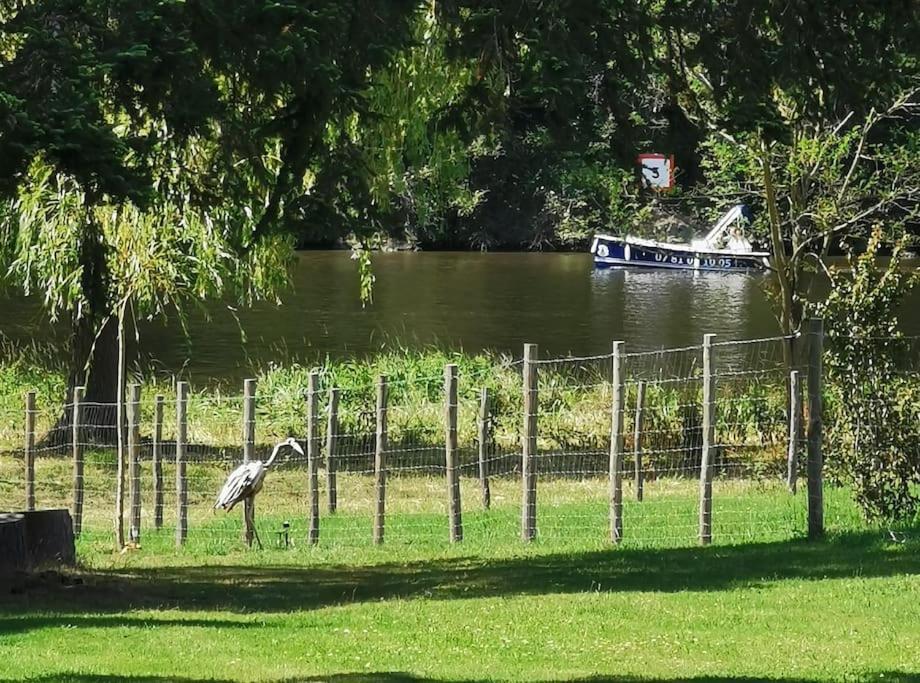 Le Ponton Des Sympetrums Aurec-Sur-Loire Zewnętrze zdjęcie